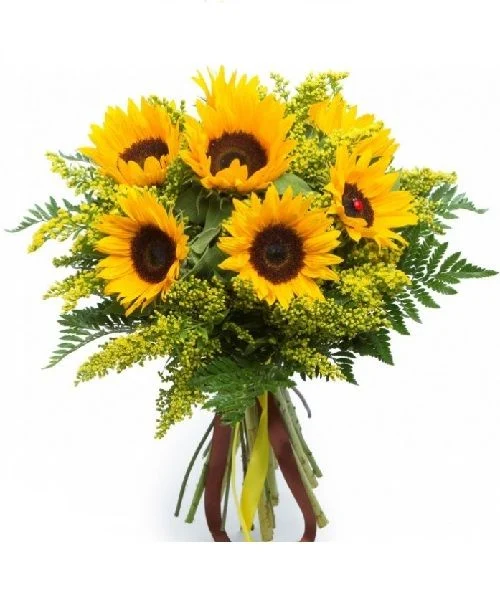 Fiorista Donatella snc - servizi e attività - Fioristi, fiori e piante - Bologna 2