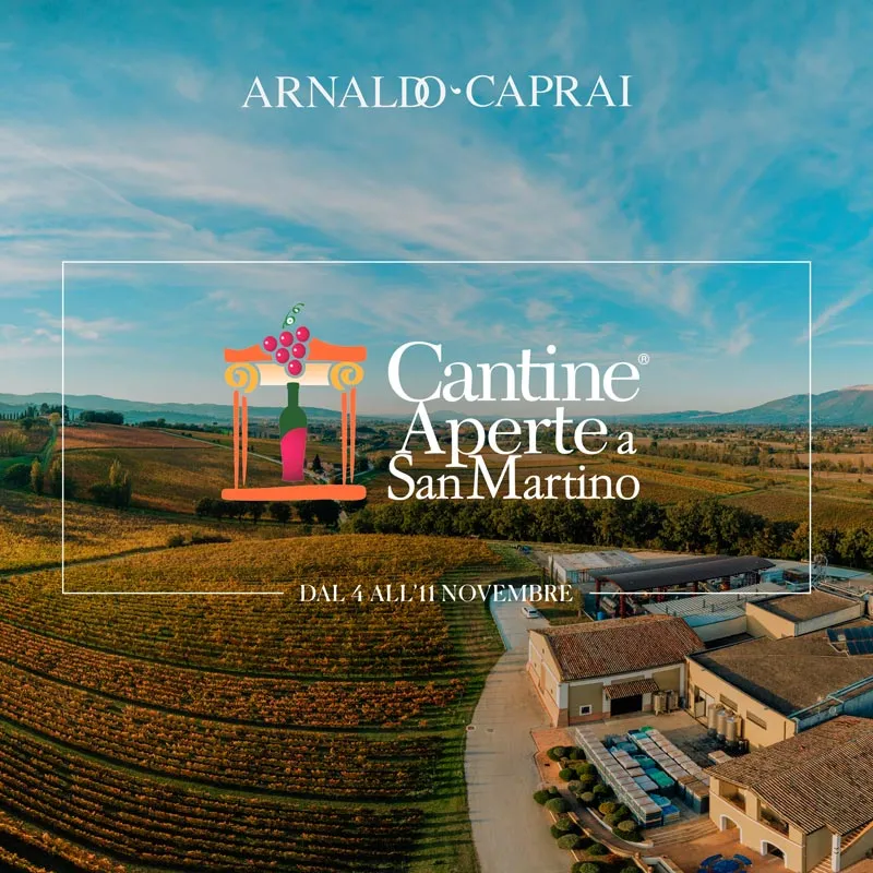 Cantine Aperte a San Martino 2026 in Friuli Venezia Giulia