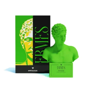 ERMES