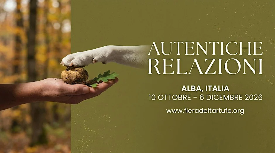 Fiera Internazionale del Tartufo Bianco d’Alba 2026